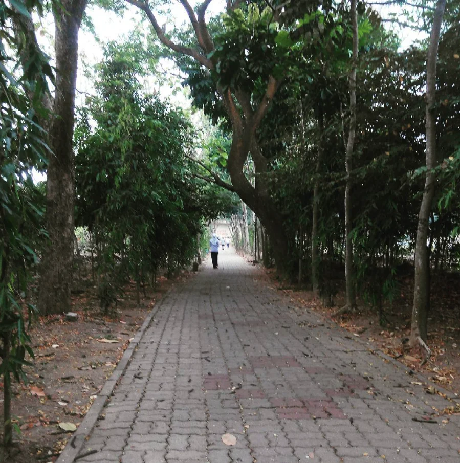 Jogging Track Krakatau Junction